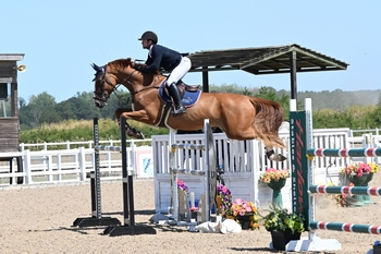 Adam Morgan and Carrickview Clarissa Secure GFS Saddles Senior Newcomers Championship Final Ticket at Arena UK